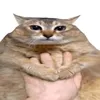 12345_678910k0