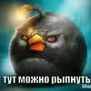 userw8s549bp1t