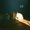 userqeljt0l8at