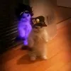 gato_jojo72677