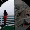 darwindamalerio2