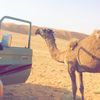 userca3zdf5t3a