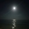 Mersin3363