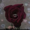 user16006835244870