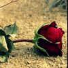 user3382818179585
