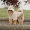 bobathesquirrel