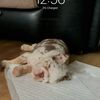 jailan_23