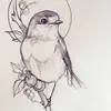 kelly_reinard