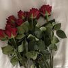 iix_623