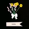__anaacantikkk