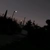 gabrielgonz72