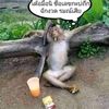 uservemrmogjbv