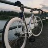 TheSilverFixie