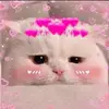 userwdf5knbfo0