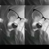 user_0211210