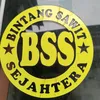 bintang_sawit24