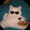 ahmad_10190