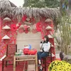 Thảo Thật Thà