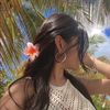 deiy052