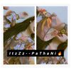 itspathani357