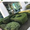 leosgardeningservices