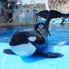 ササミ🐟🧊