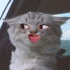 rnrnrnrn04