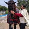alirab735