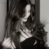 pg_panu