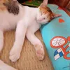 meocondthuongg