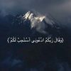 yosef___198