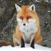 userfi2xj6ut0l