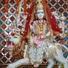 sarojthakur73333