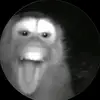 choiloccanh0
