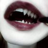 .w5qk