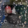 pop1359mbop