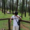 dimas_pur06