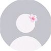 usersssss77779