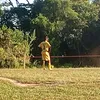 joo.vitor.de.arau2