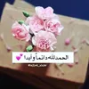 nooralhdaa635