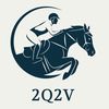 2q2v