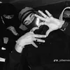 dn_zk