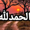 user951659625198