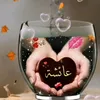 user3188133823025
