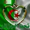 user2861256120844