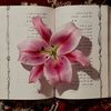 roooory_9