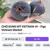 SUNG MỸ 🇻🇳