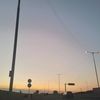 hen_6701