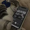 shinz7307