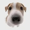 user0m4c9lmtv3